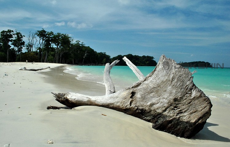 Havelock Island at Andamans